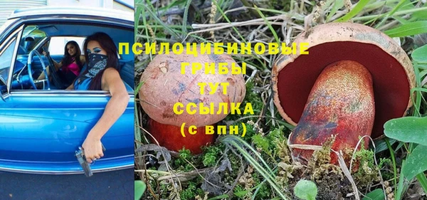 прущие грибы Алексеевка