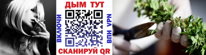 Бошки Шишки THC 21%  ОМГ ОМГ рабочий сайт  Кингисепп  цена  